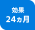 効果24ヵ月